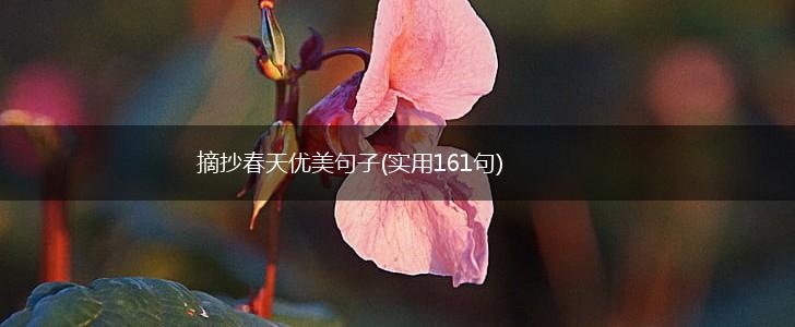 摘抄春天优美句子(实用161句),第1张