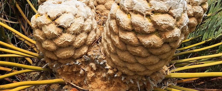 如何委婉的说分手(推荐150句),第3张