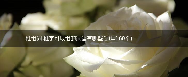 椎组词 椎字可以组的词语有哪些(通用160个),第1张