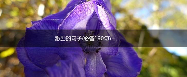 激励的句子(必备190句),第1张
