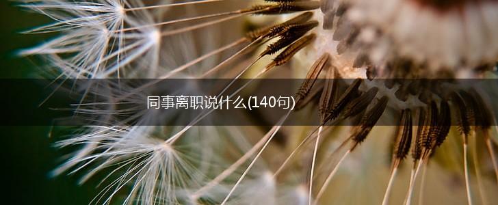 同事离职说什么(140句),第1张