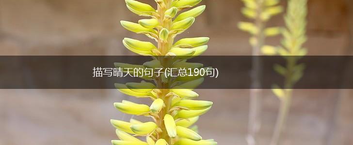 描写晴天的句子(汇总190句),第1张