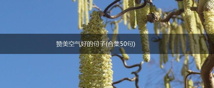 赞美空气好的句子(合集50句),第1张