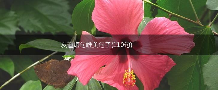 友谊短句唯美句子(110句),第1张