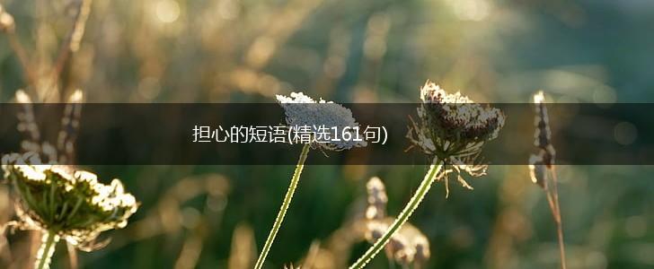担心的短语(精选161句),第1张