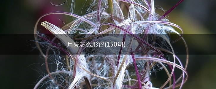 月亮怎么形容(150句),第1张