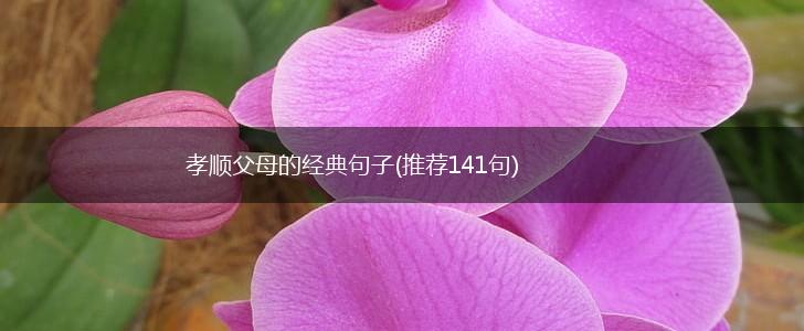 孝顺父母的经典句子(推荐141句),第1张