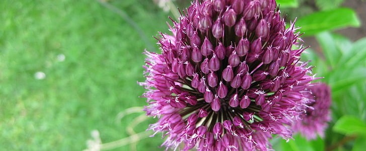 描写冬天的(优选135句),第3张