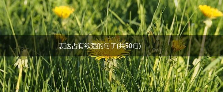 表达占有欲强的句子(共50句),第1张