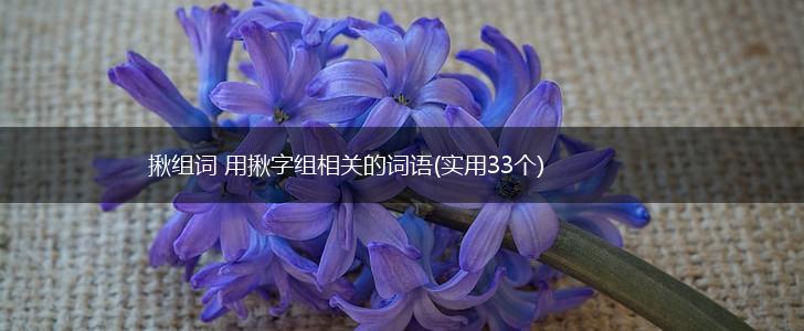 揪组词 用揪字组相关的词语(实用33个),第1张