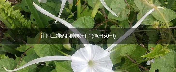 让扫二维码的幽默句子(通用50句),第1张