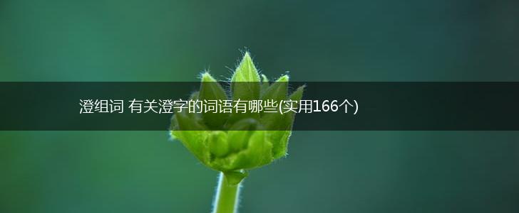 澄组词 有关澄字的词语有哪些(实用166个),第1张