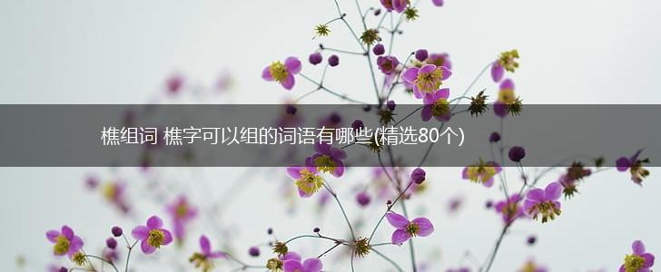 樵组词 樵字可以组的词语有哪些(精选80个),第1张