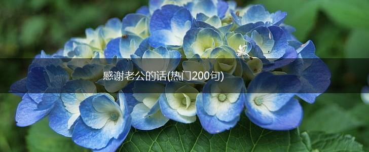 感谢老公的话(热门200句),第1张