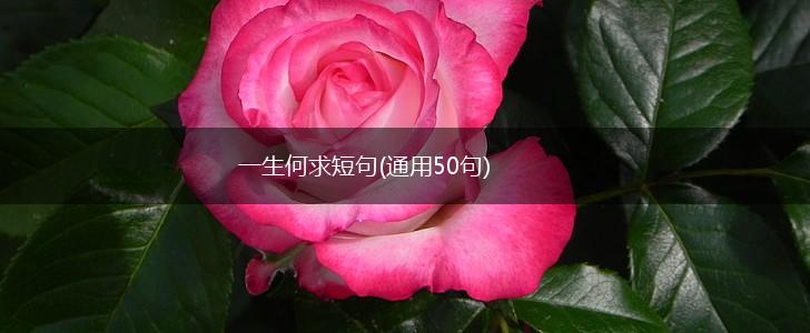 一生何求短句(通用50句),第1张