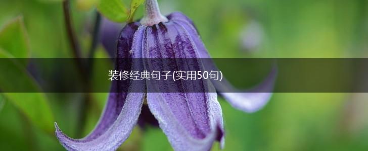 装修经典句子(实用50句),第1张