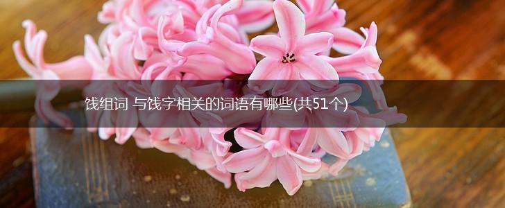 饯组词 与饯字相关的词语有哪些(共51个),第1张