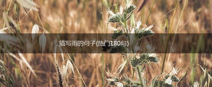 描写雨的句子(热门180句),第1张