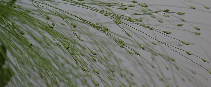 对老婆说的暖心话(177句),第3张