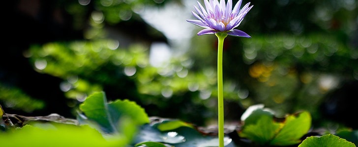 找对象文案(100句),第3张 找对象文案(100句),第3张