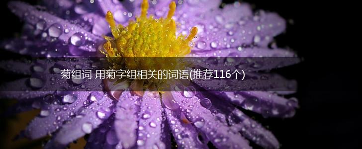 菊组词 用菊字组相关的词语(推荐116个),第1张