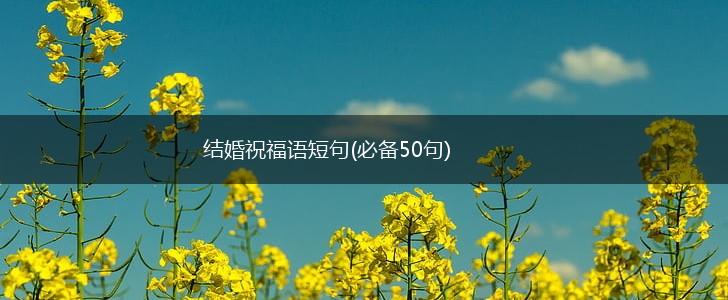 结婚祝福语短句(必备50句),第1张