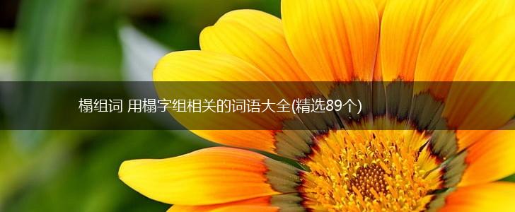 榻组词 用榻字组相关的词语大全(精选89个),第1张