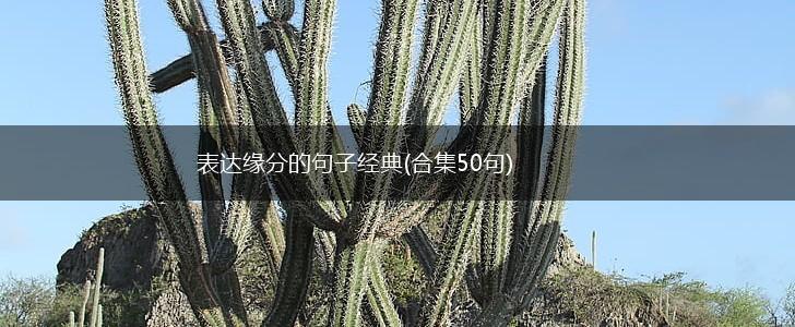 表达缘分的句子经典(合集50句),第1张