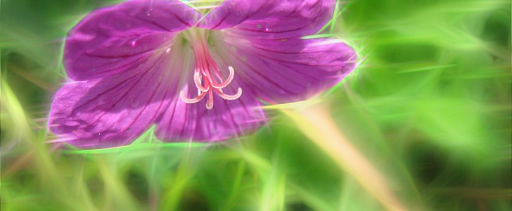 描写月光的句子(160句),第3张