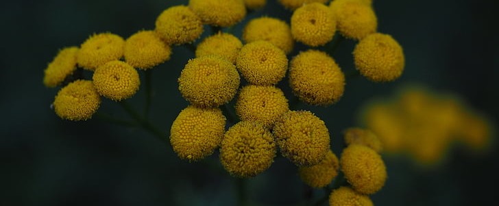 愿岁月静好(热门144句),第2张