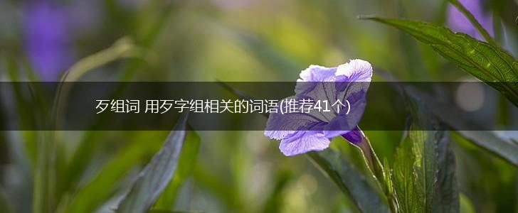 歹组词 用歹字组相关的词语(推荐41个),第1张