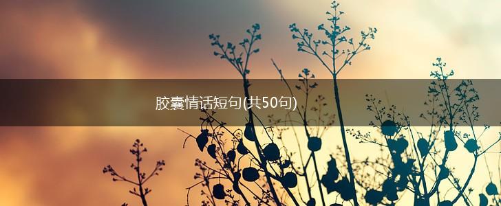 胶囊情话短句(共50句),第1张
