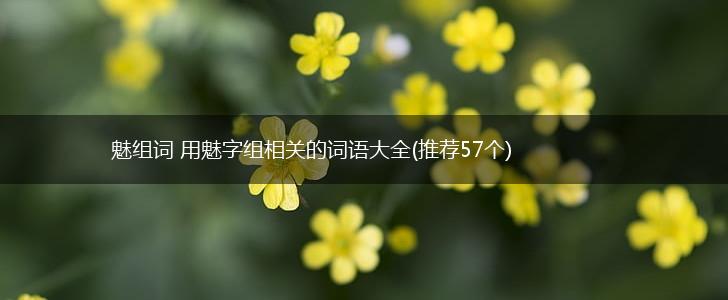 魅组词 用魅字组相关的词语大全(推荐57个),第1张