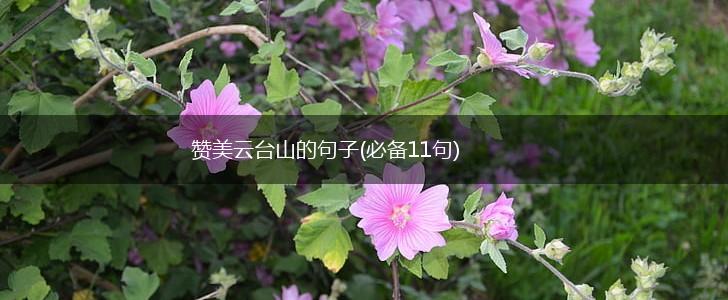 赞美云台山的句子(必备11句),第1张