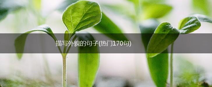 描写外貌的句子(热门170句),第1张