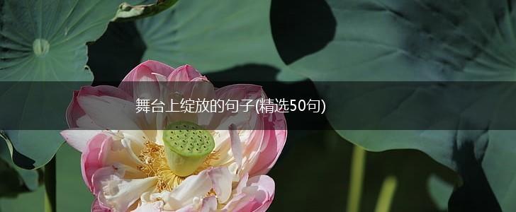 舞台上绽放的句子(精选50句),第1张