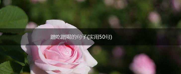 蹭吃蹭喝的句子(实用50句),第1张 蹭吃蹭喝的句子(实用50句),第1张
