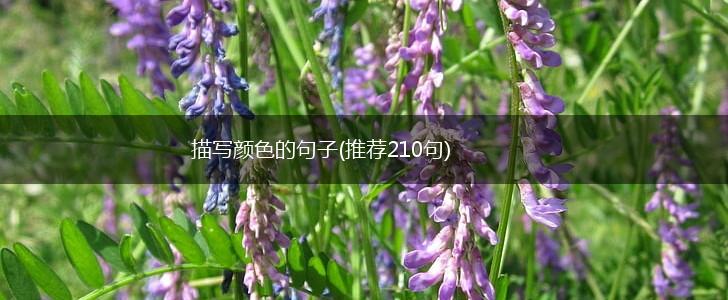 描写颜色的句子(推荐210句),第1张