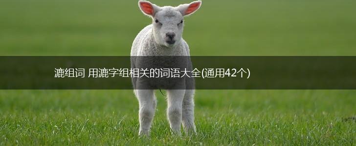 漉组词 用漉字组相关的词语大全(通用42个),第1张