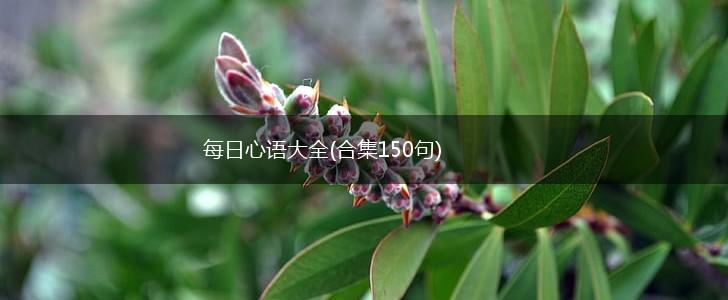 每日心语大全(合集150句),第1张