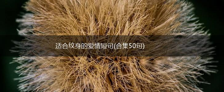 适合纹身的爱情短句(合集50句),第1张