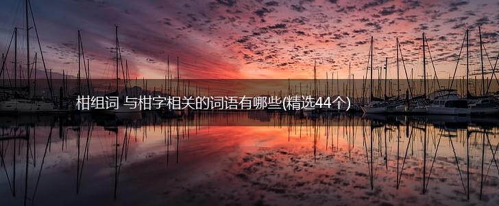 柑组词 与柑字相关的词语有哪些(精选44个),第1张
