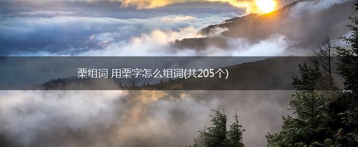 栗组词 用栗字怎么组词(共205个),第1张