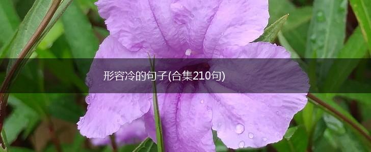 形容冷的句子(合集210句),第1张