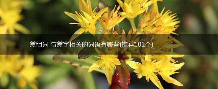 黛组词 与黛字相关的词语有哪些(推荐101个),第1张