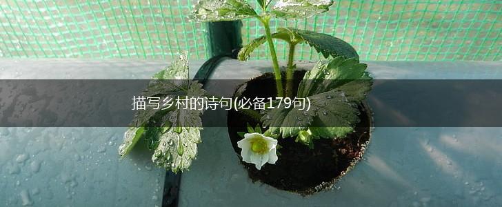描写乡村的诗句(必备179句),第1张