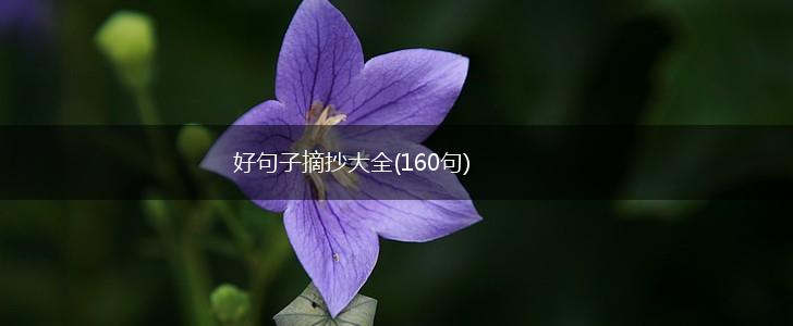 好句子摘抄大全(160句),第1张