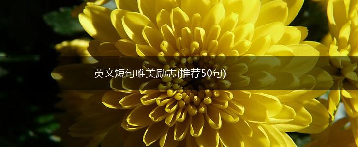 英文短句唯美励志(推荐50句),第1张