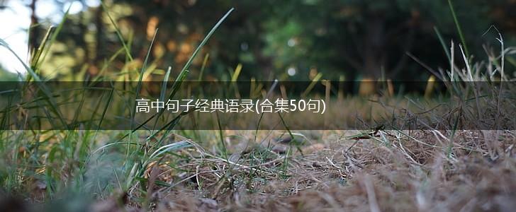 高中句子经典语录(合集50句),第1张