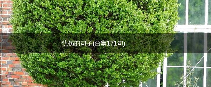 忧伤的句子(合集171句),第1张